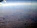 DSCN0994